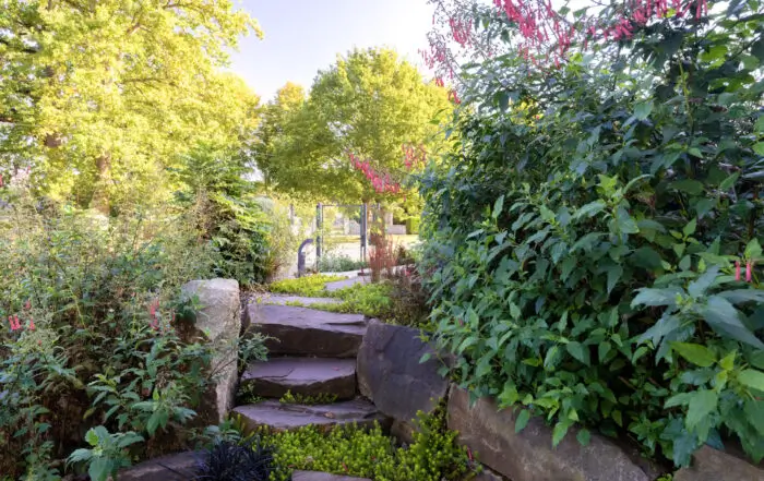 Couverture article 700x441