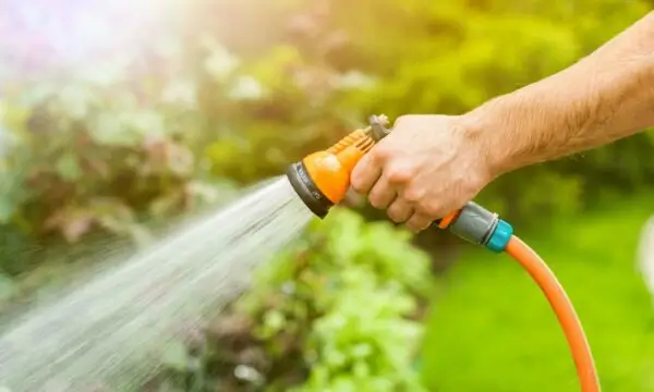 Arroser le jardin NF scaled 1 600x360
