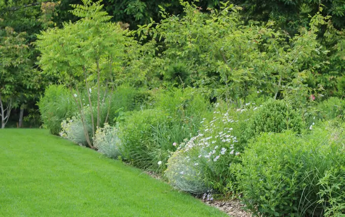 Le printemps arrive a grand pas 700x441