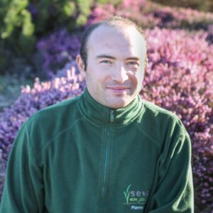 Pierre RESPONSABLE SAP